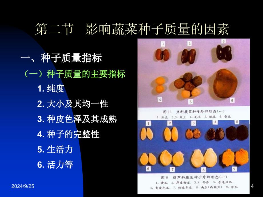 蔬菜种子发育与发芽生理生态_第4页