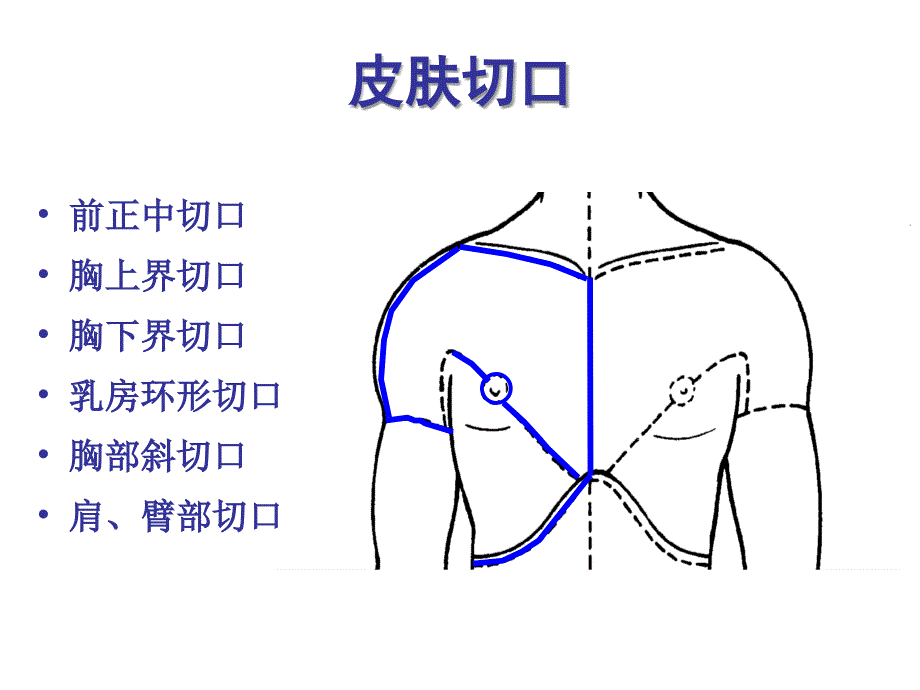 胸前区及腋窝PPT课件_第4页