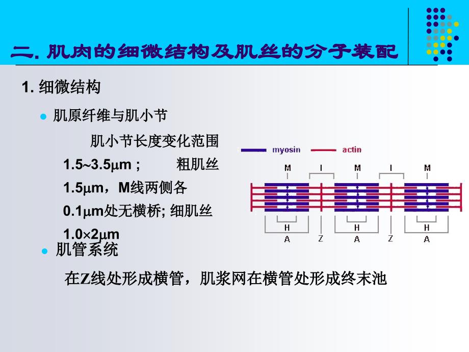 最新2神经肌肉一般生理学0836PPT文档_第1页