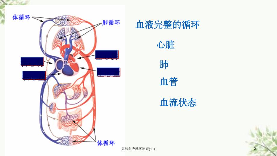 局部血液循环障碍(11)课件_第2页