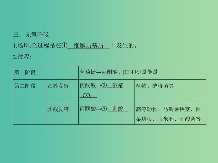 高三生物第一轮复习 第2单元 第7讲 细胞呼吸课件 新人教版.ppt_第5页