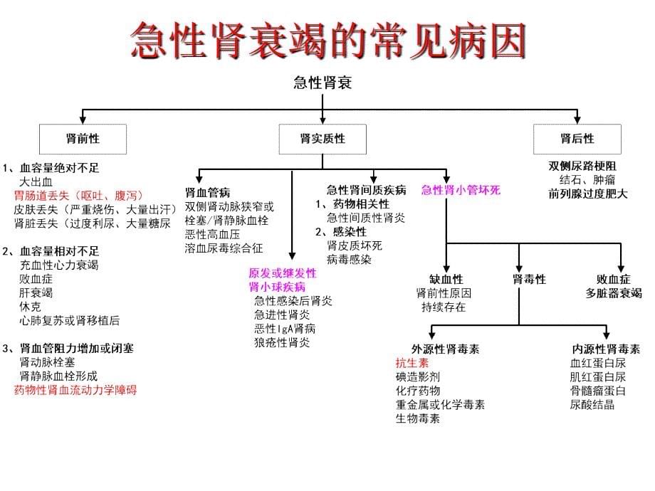 《急性肾衰讲义》PPT课件.ppt_第5页