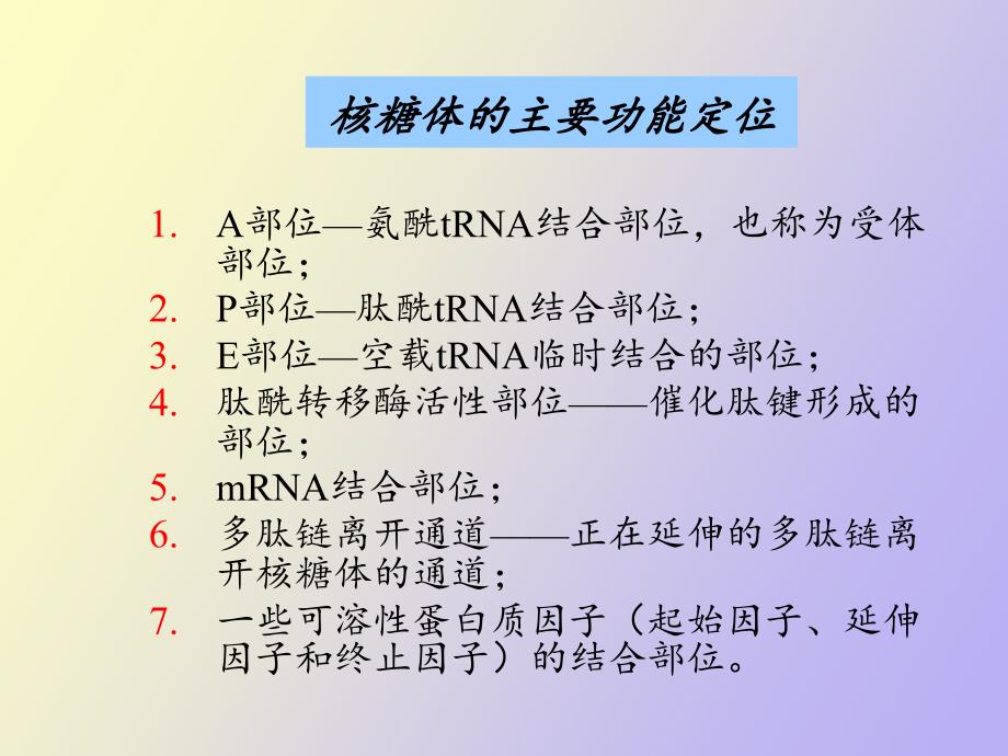 蛋白质的生物合成及其在细胞内的降解_第3页