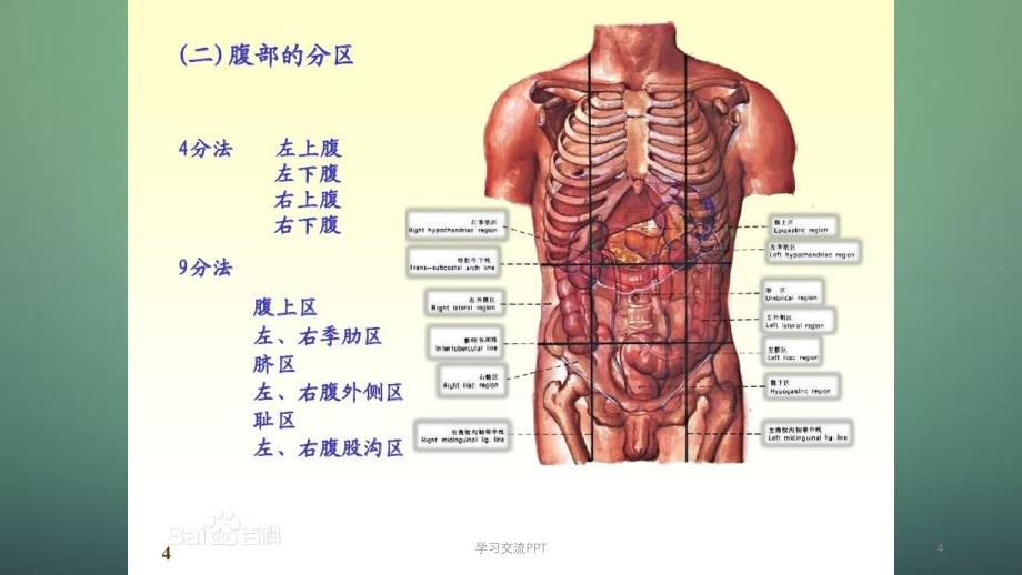 腹水腹胀腹痛ppt课件_第4页