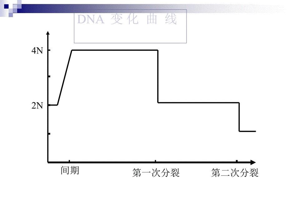 一精子的形成过程_第5页