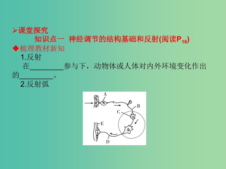 高中生物第二章动物和人体生命活动的调节2.1通过神经系统的调节第1课时课件新人教版.ppt_第4页