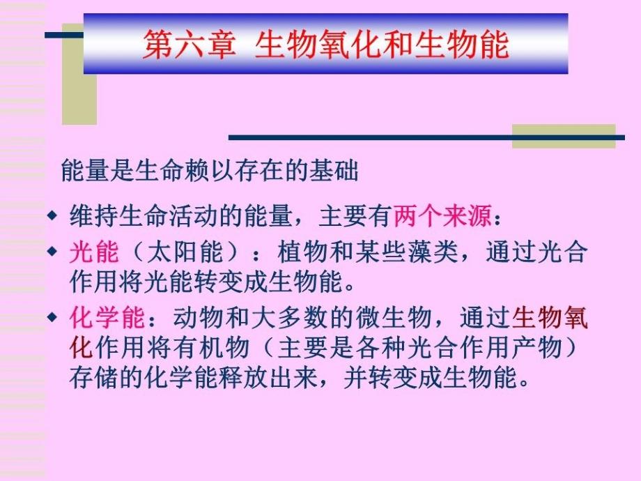 《生物氧化和生物能》PPT课件.ppt_第1页