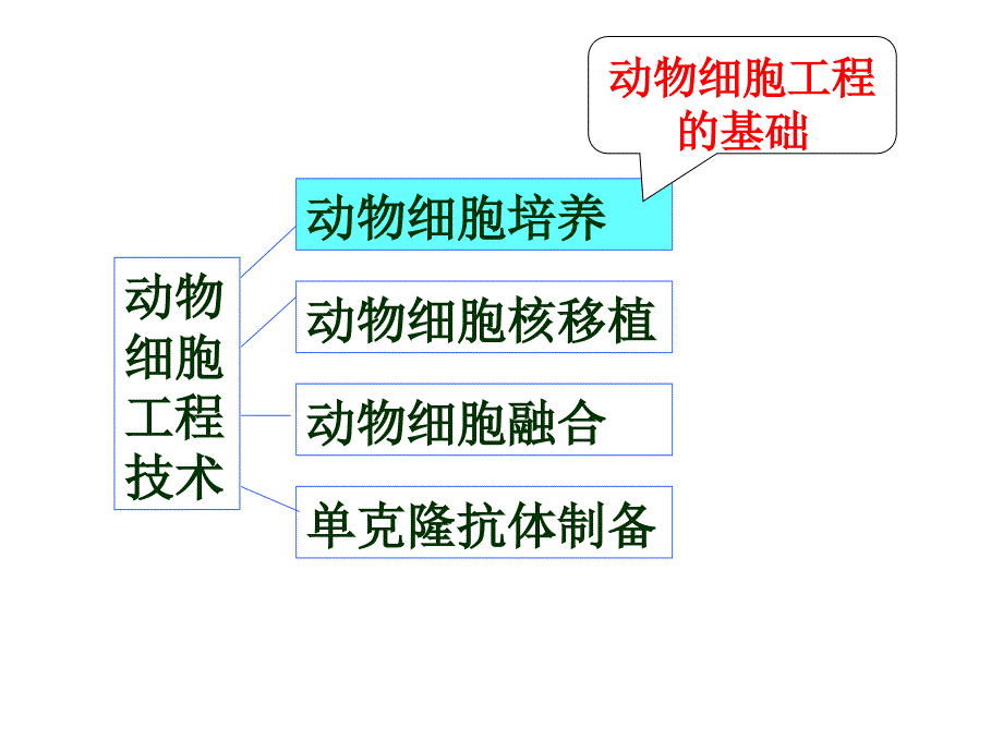 动物细胞工程_第2页