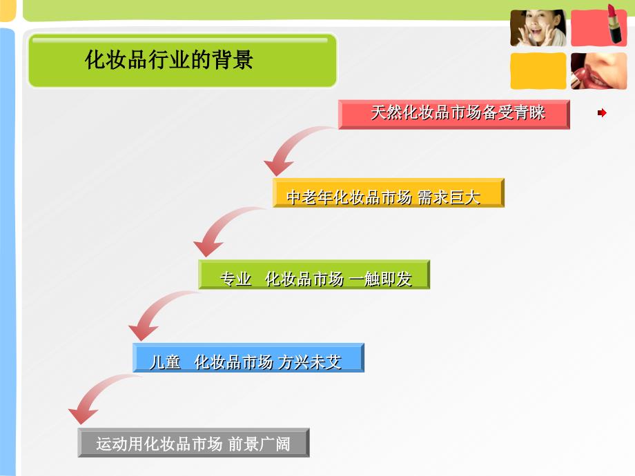 化妆品行业的宏观环境分析(模板)_第4页