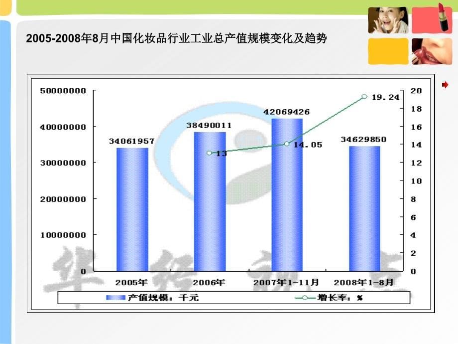 化妆品行业的宏观环境分析(模板)_第5页