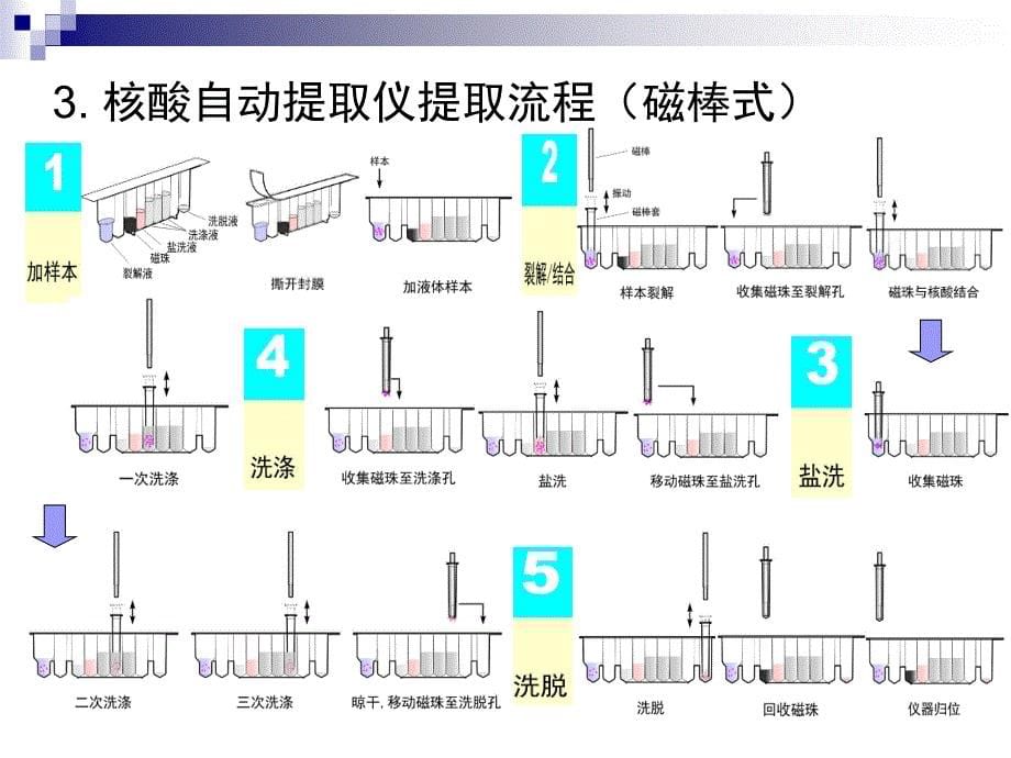 国内外核酸提取仪介绍CC_第5页