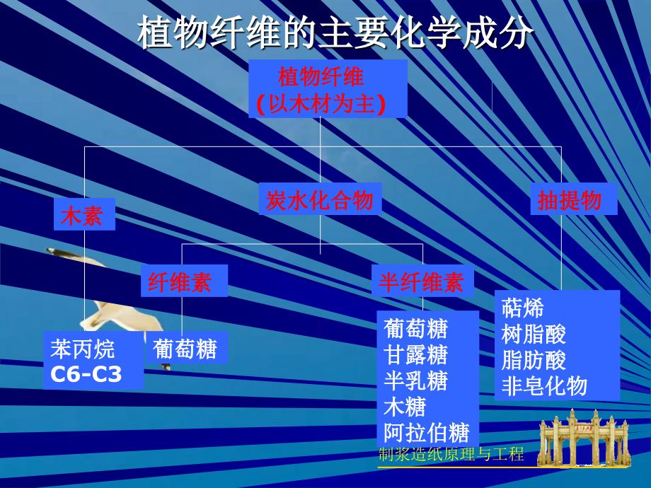 制浆原理与工程前言ppt课件_第2页