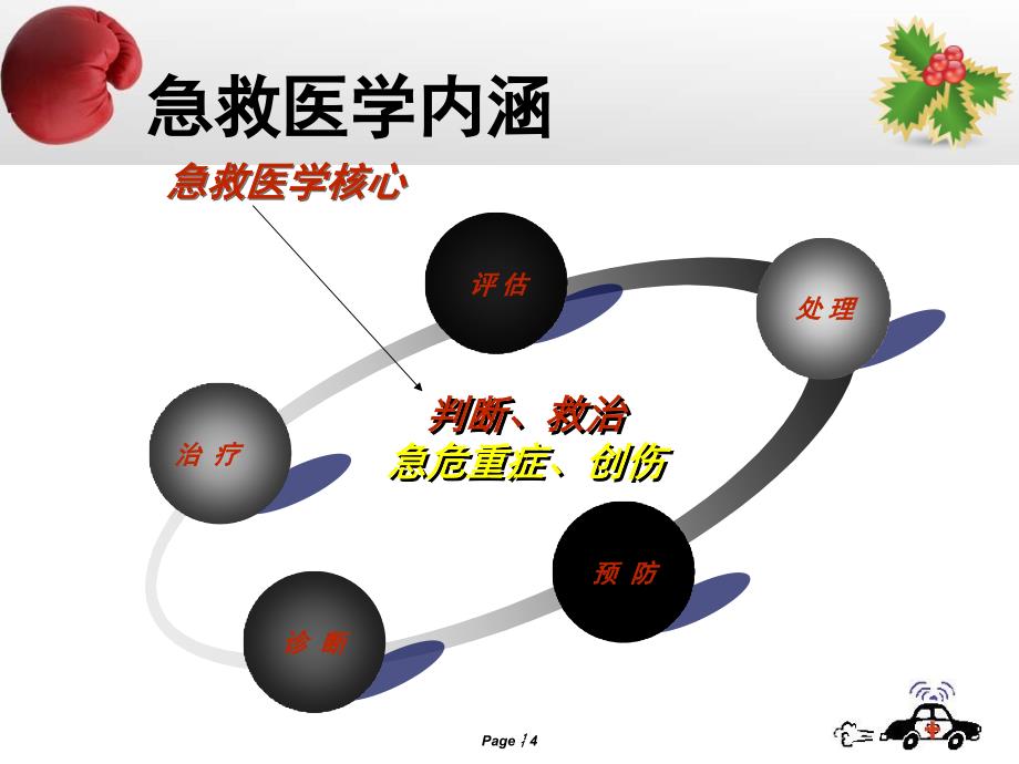 常见急危重症的识别和急救处理原则及技能_第4页