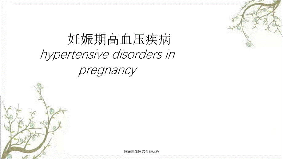 妊娠高血压综合征优秀_第1页