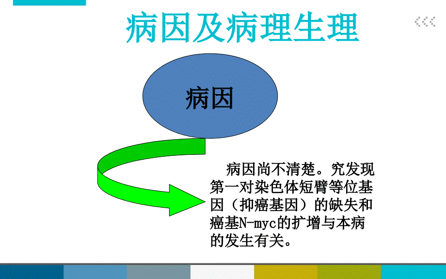 神经母细胞瘤王婷婷_第4页