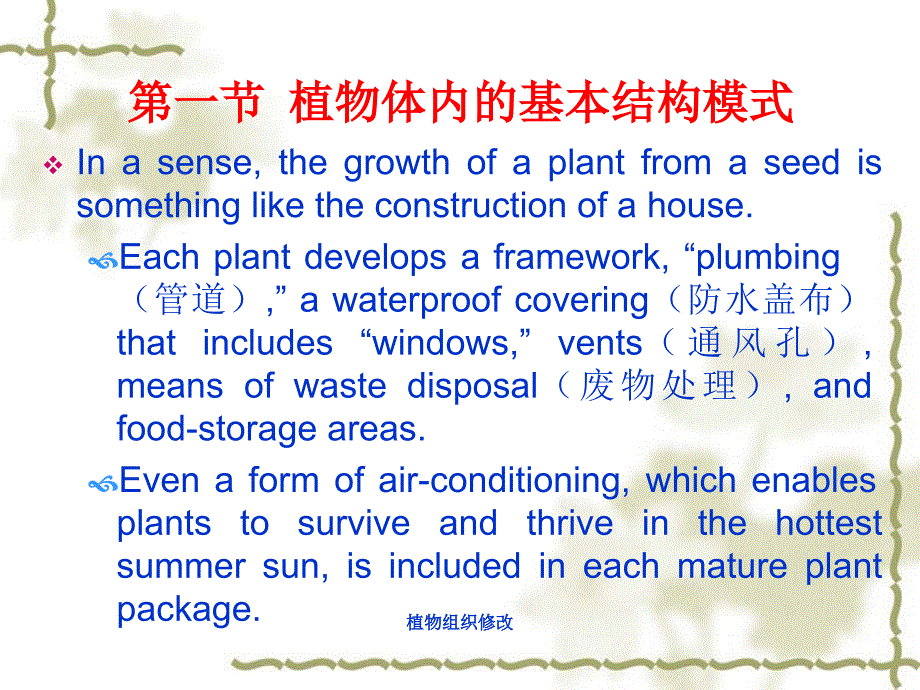 植物组织修改课件_第2页