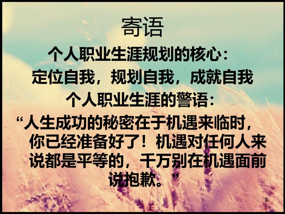 职业生涯规划主题班会课件_第3页