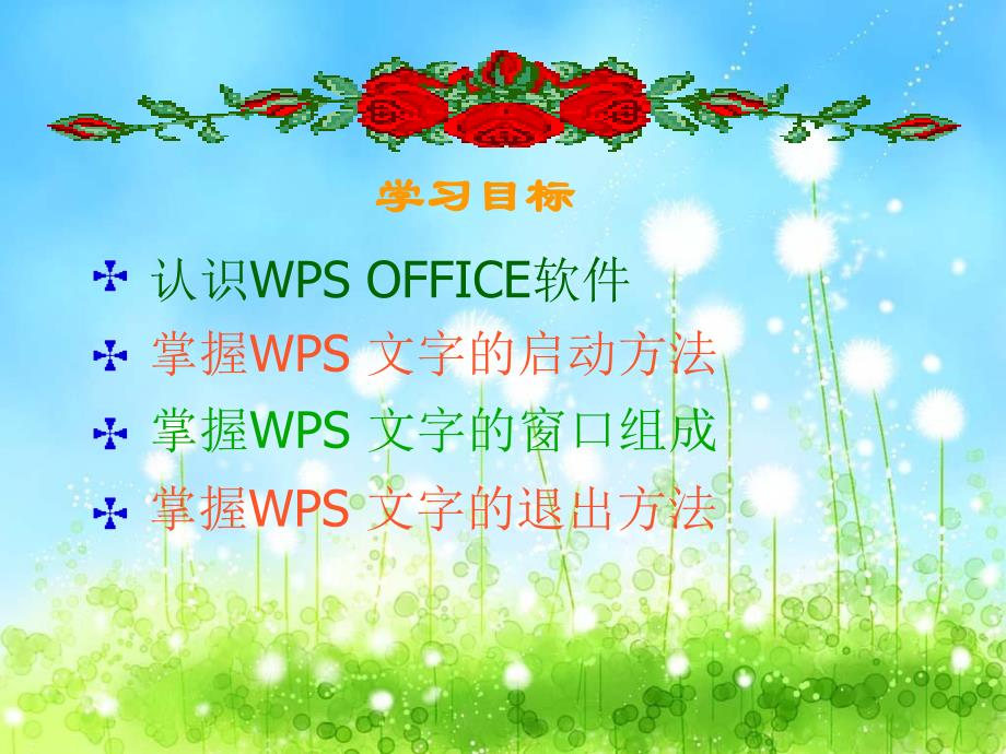 《初识WPS文字》PPT课件.ppt_第3页