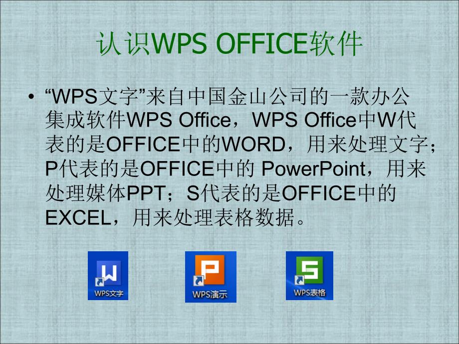 《初识WPS文字》PPT课件.ppt_第4页