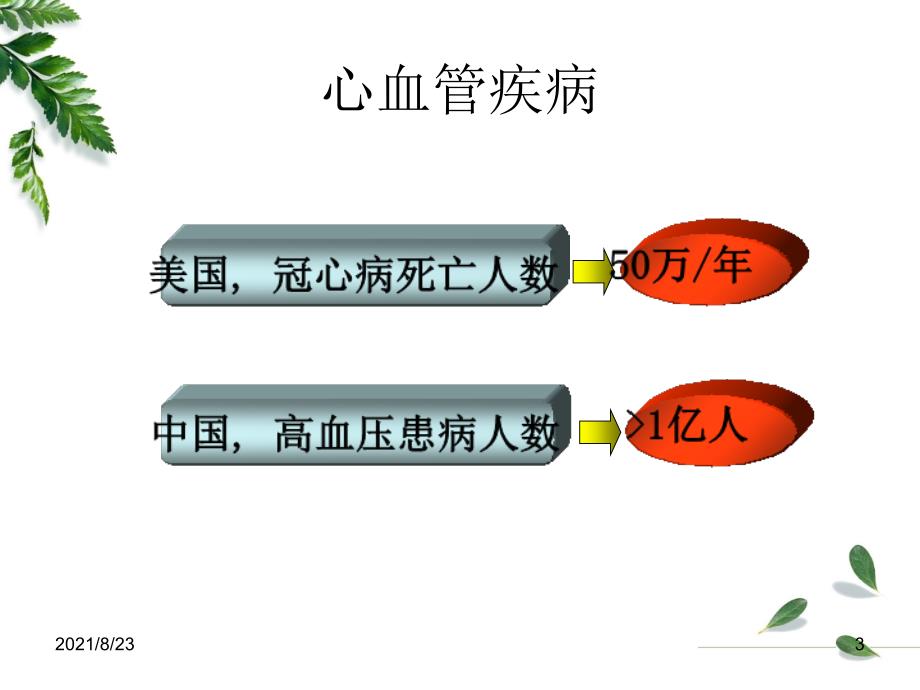 病理生理学《心力衰竭》精品课件_第3页