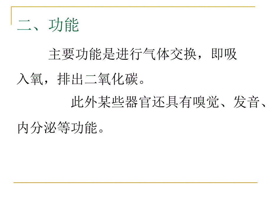 人体解剖学：第10次课 呼吸系统_第4页