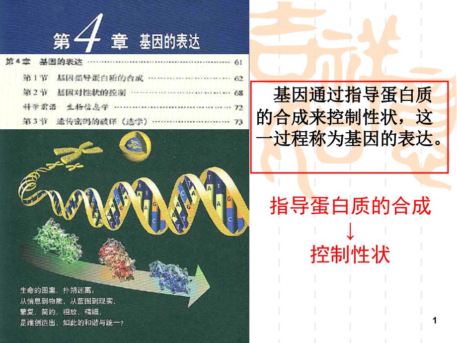 友兰课件基因指导蛋白合成_第1页