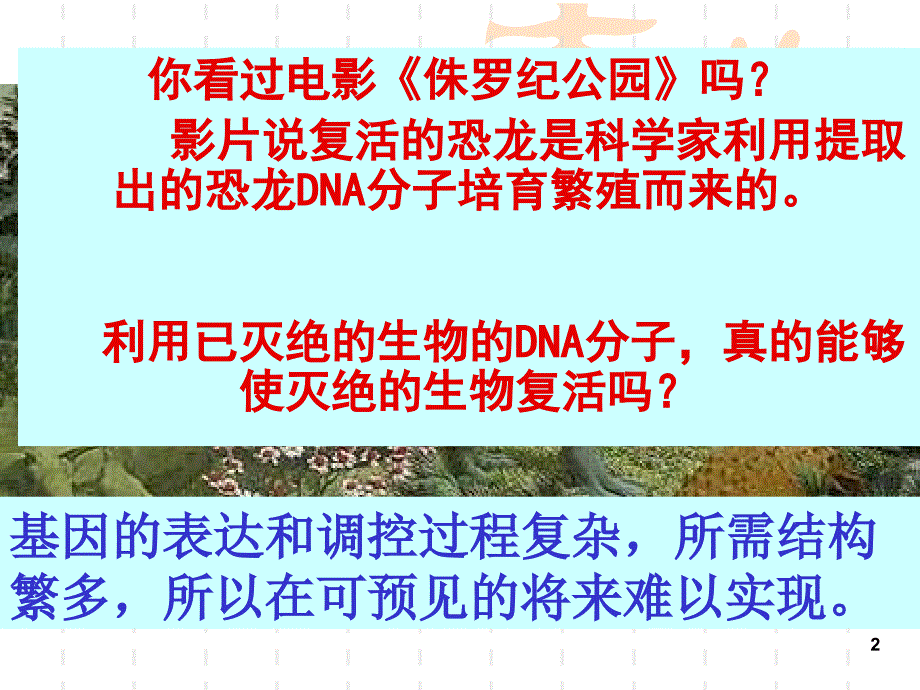 友兰课件基因指导蛋白合成_第2页