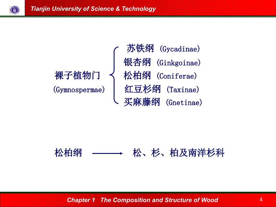 造纸植物纤维原料概述_第4页