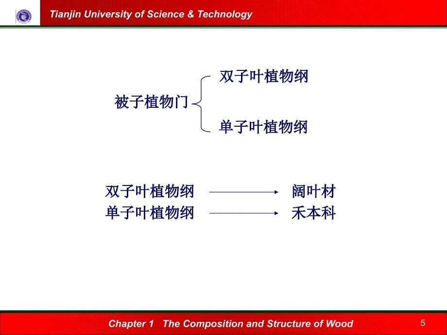 造纸植物纤维原料概述_第5页