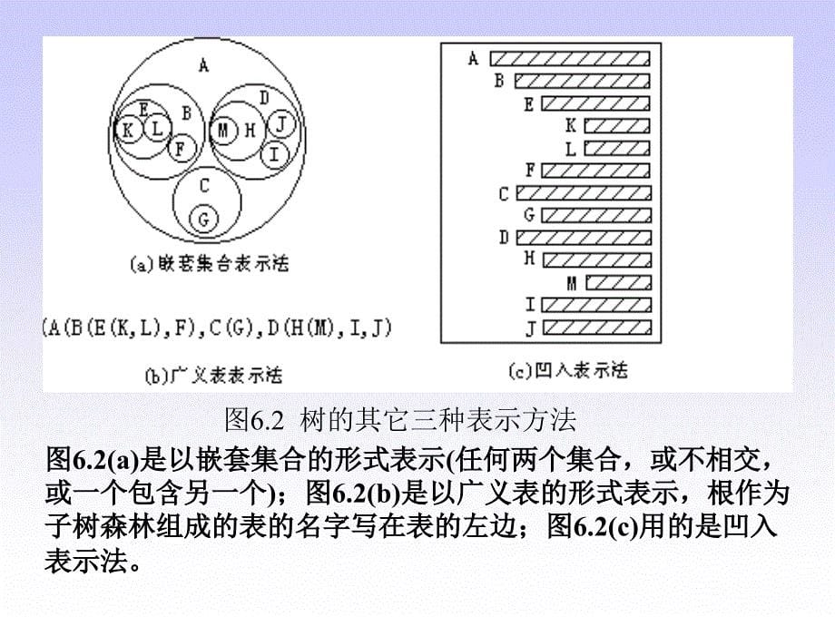 树结构的定义和基本操作_第5页