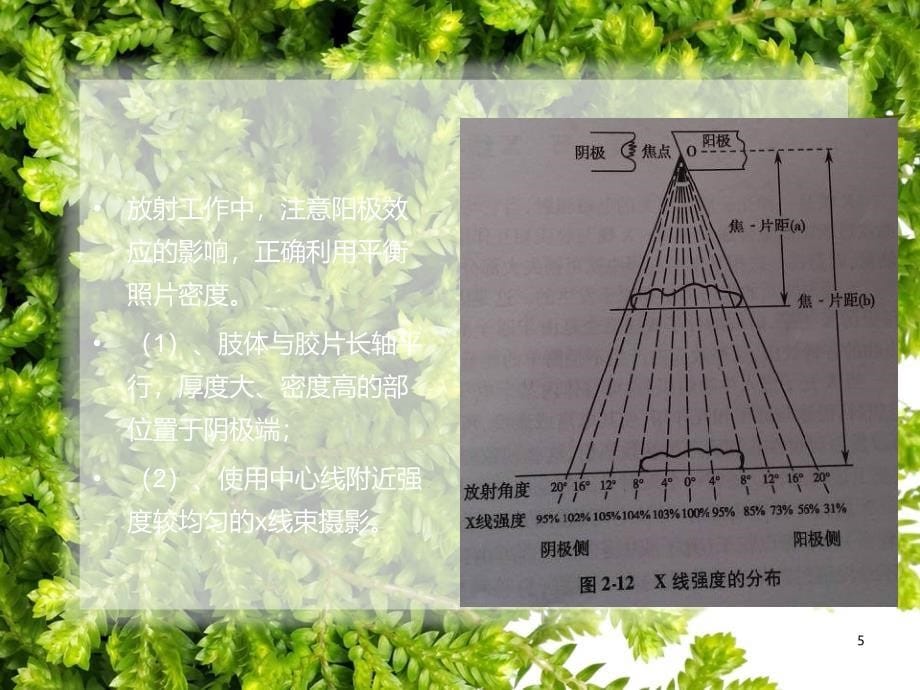 放射物理基础ppt课件_第5页