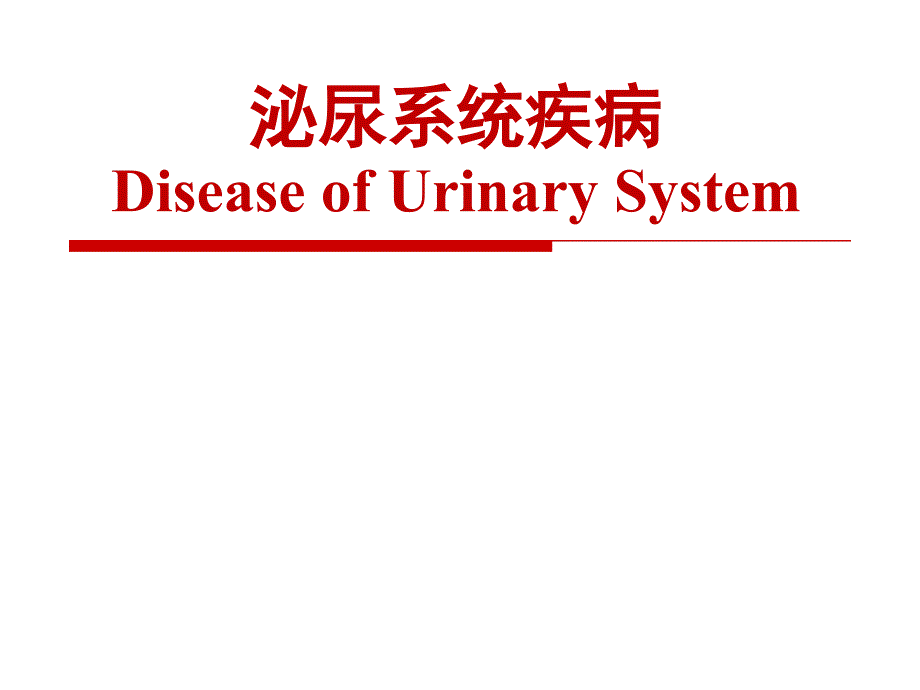 《病理生理学》课件：12泌尿系统疾病_第2页