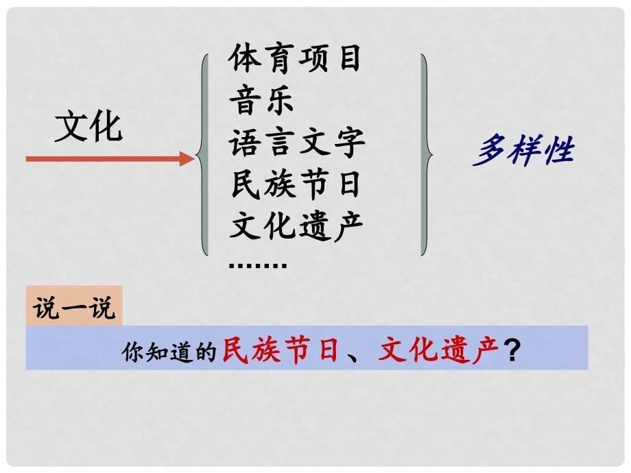 高中政治 3.1 世界文化的多样性课件 新人教版必修3_第5页