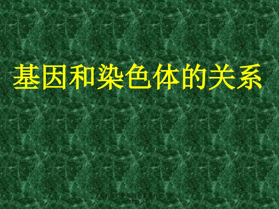 人教版教学基因和染色体的关系一减数分裂课件_第1页