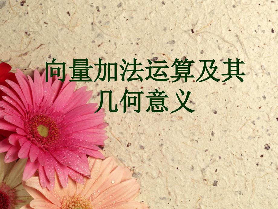 《向量加法运算及其几何意义》.ppt_第1页