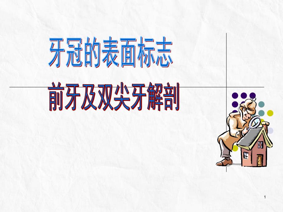 《前牙及双尖牙解剖》课件_第1页
