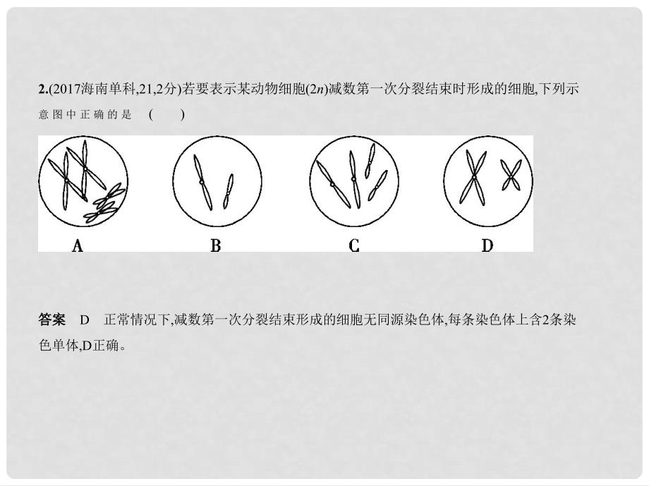 高考生物一轮复习 专题9 遗传的细胞基础课件2_第4页