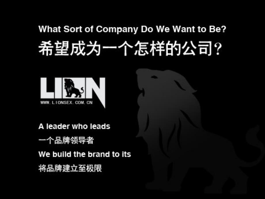 LION男士内衣品牌推广方案_第1页