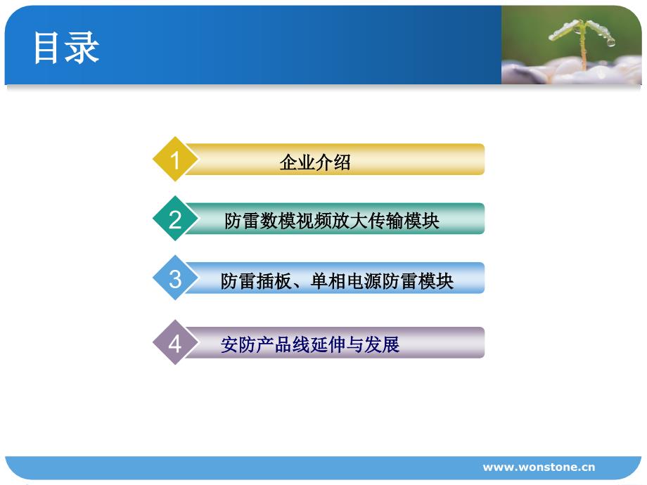 防雷数模视频放大器ppt课件_第2页