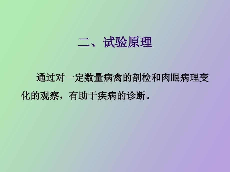 兽医学实验华中农业大学_第5页