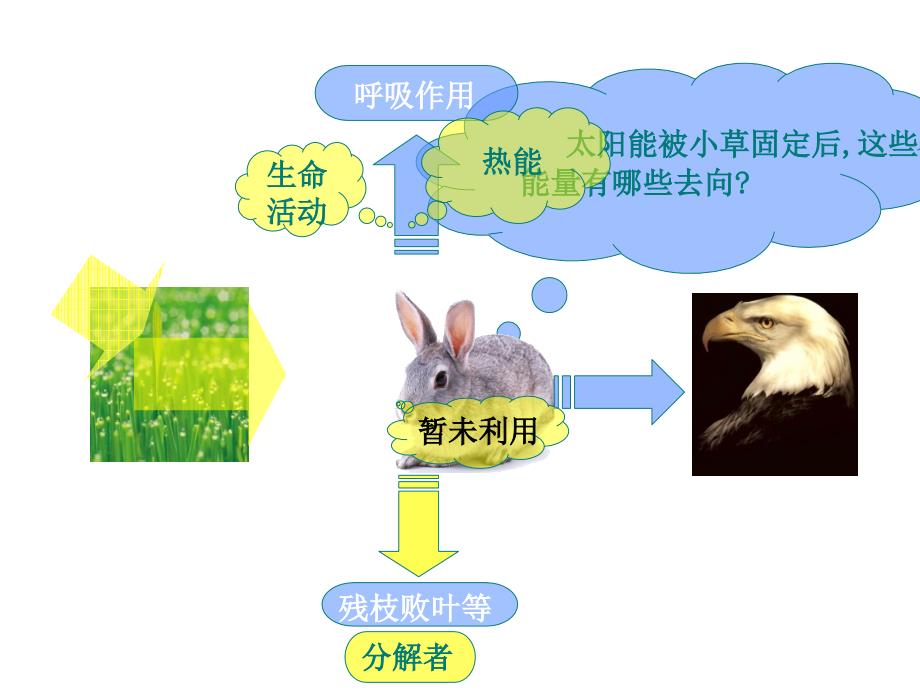 《生态环境的稳态》课件4(苏教版必修3).ppt_第3页