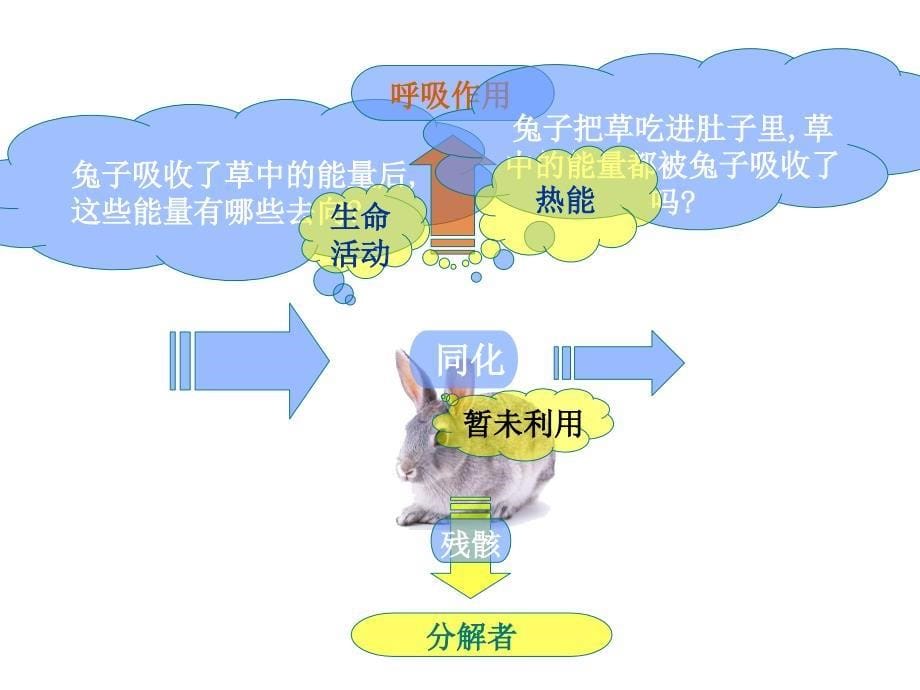 《生态环境的稳态》课件4(苏教版必修3).ppt_第5页