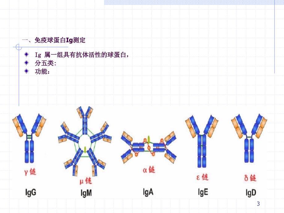 临床本科10常用免疫学检查ppt课件_第3页