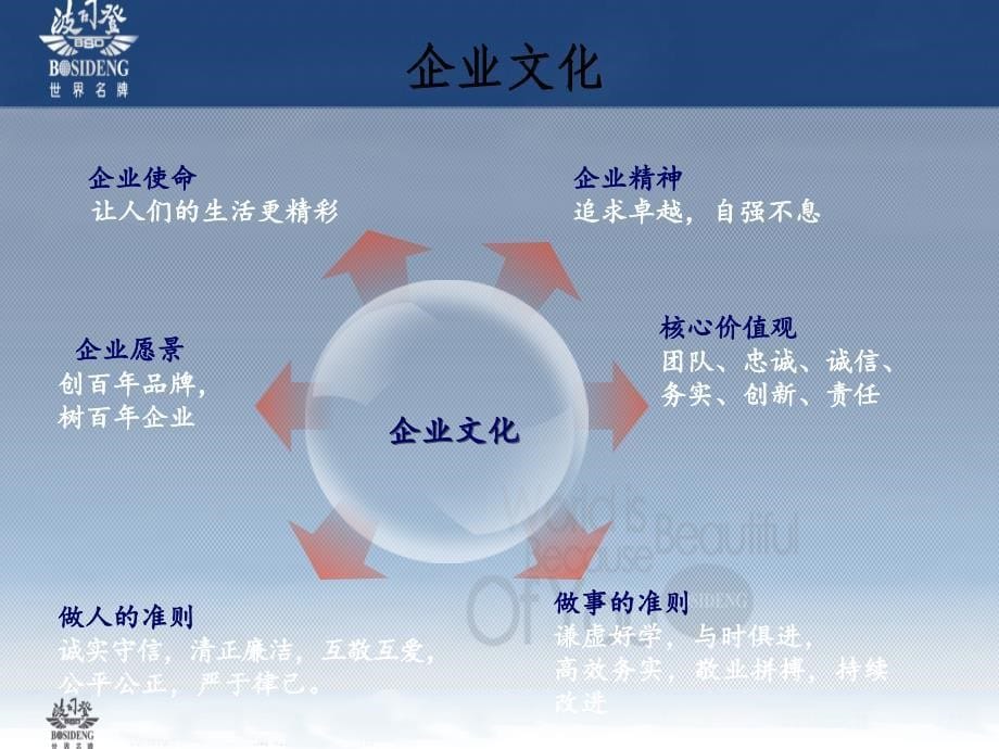 波司登企业战略管理分析_第5页