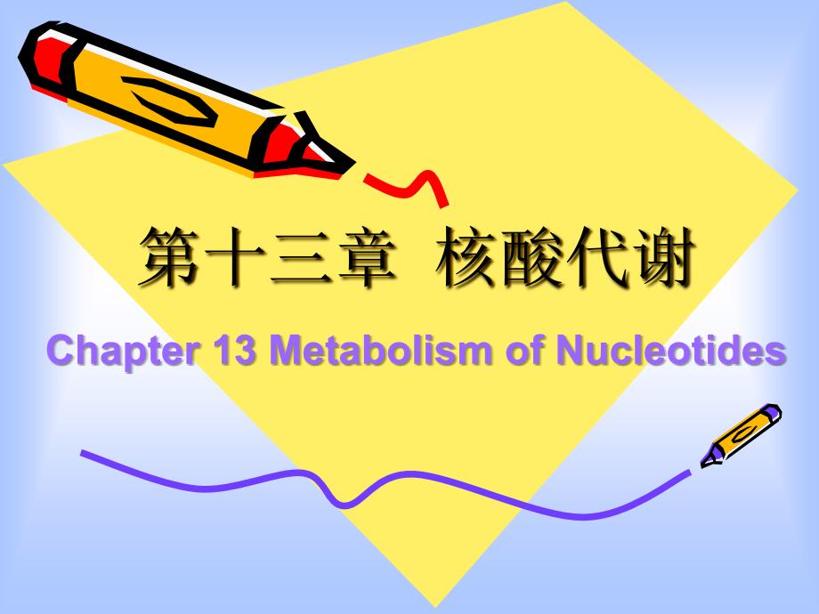 第13章核酸降解与核苷酸代谢bai_第1页