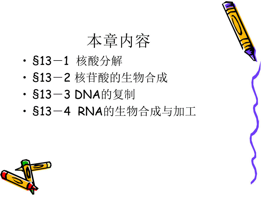 第13章核酸降解与核苷酸代谢bai_第2页