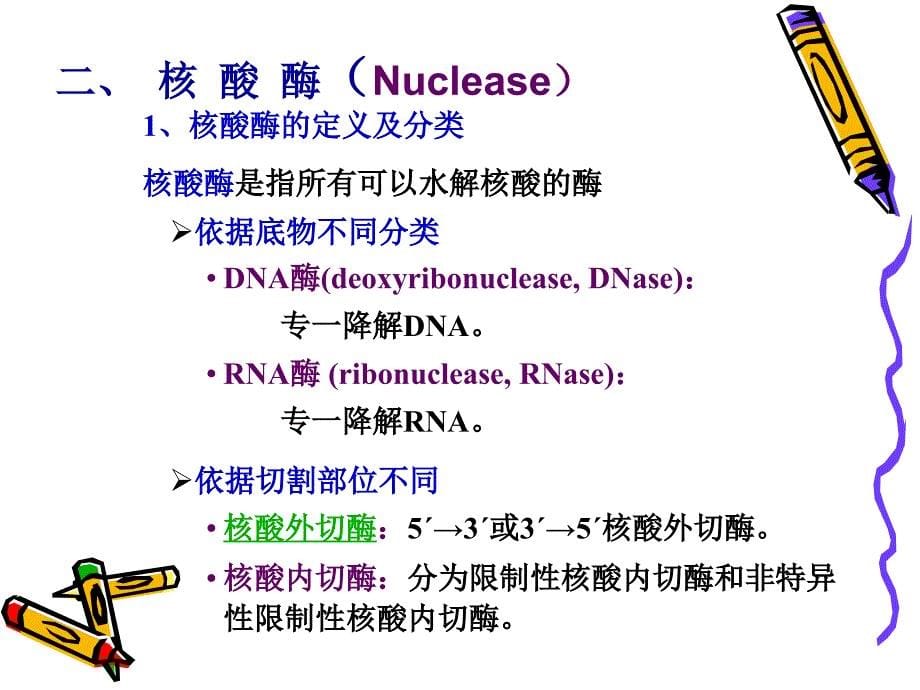 第13章核酸降解与核苷酸代谢bai_第5页