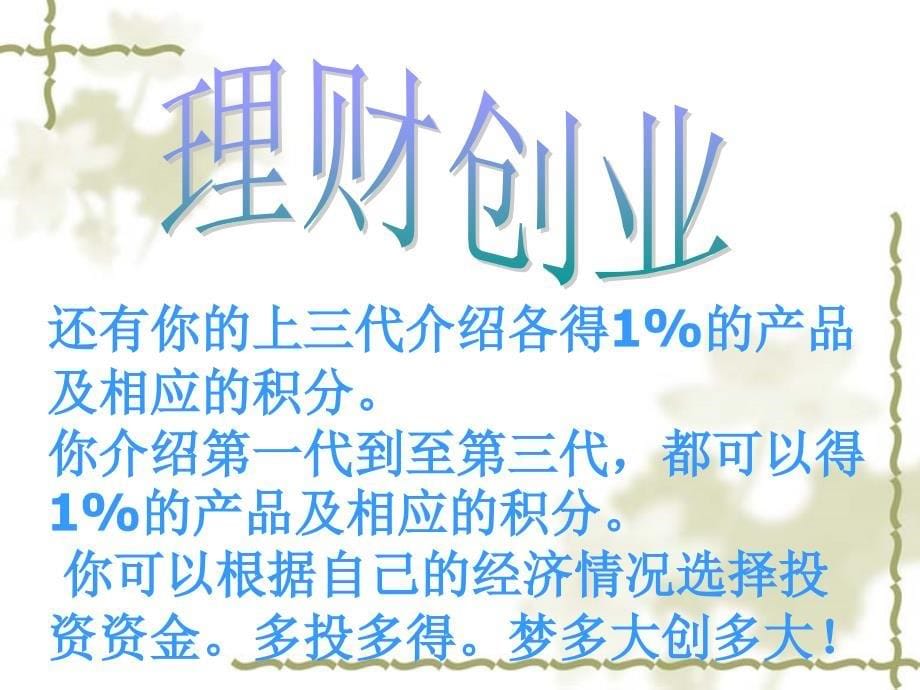 完美理财计划_第5页