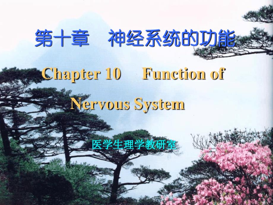 ()【生理学】：神经系统功能演示版_第1页