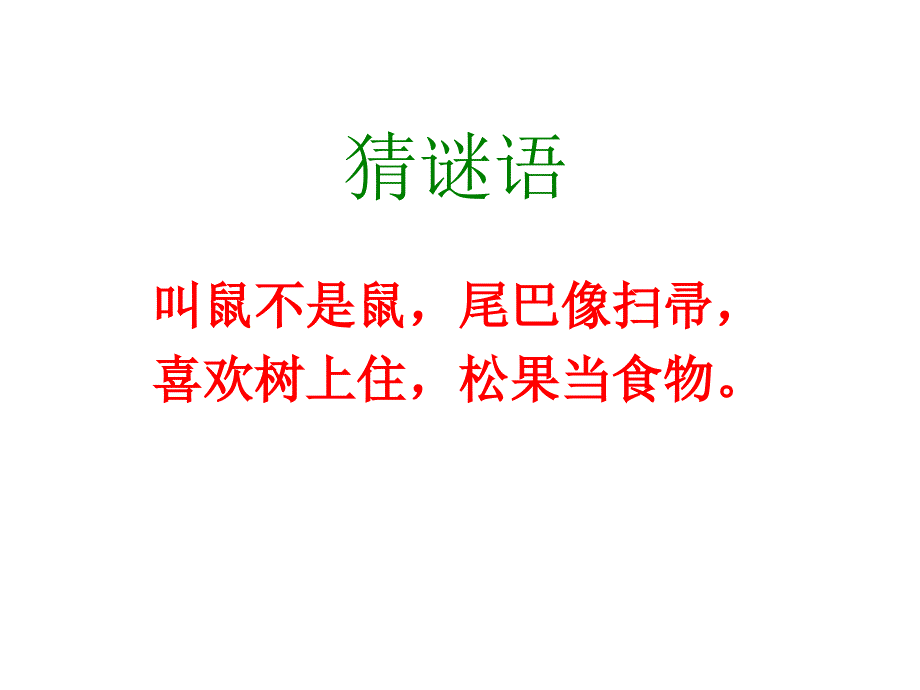 上课专用22跑进家来的松鼠优秀课件_第1页